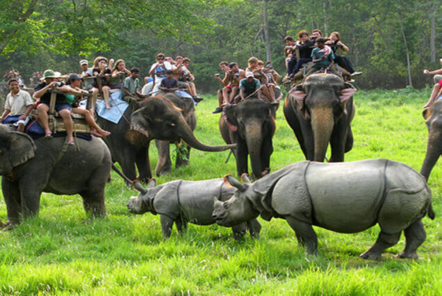 Chitwan-Tour